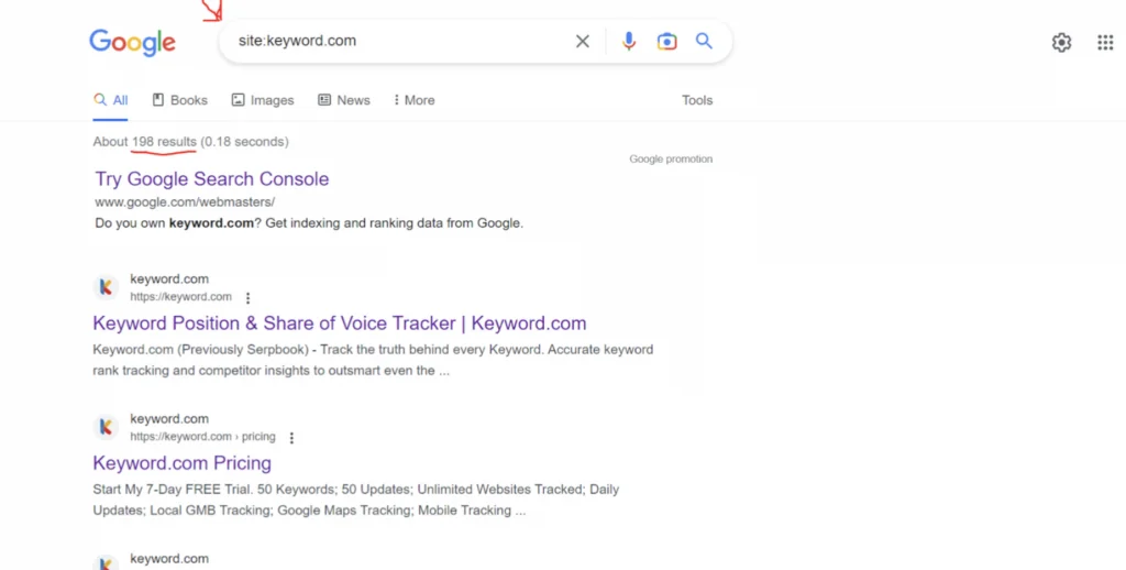 Exemple d’URL indexées dans la recherche Google