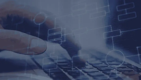 Por qué las páginas de comparación de software llevan el año en el título