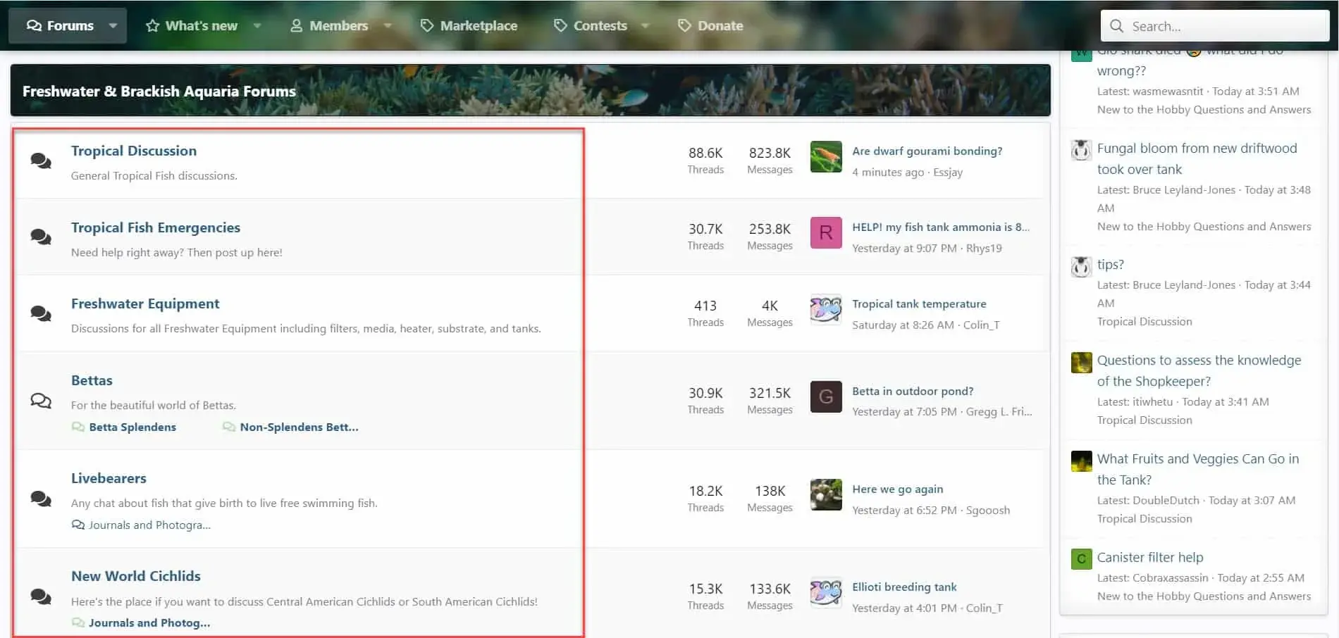 discussion board categories