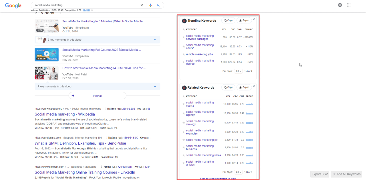 How to Use Keywords Everywhere Like a Pro